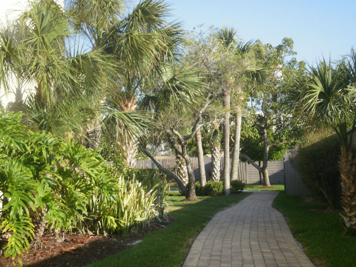 Pathway to Area Behind Building
